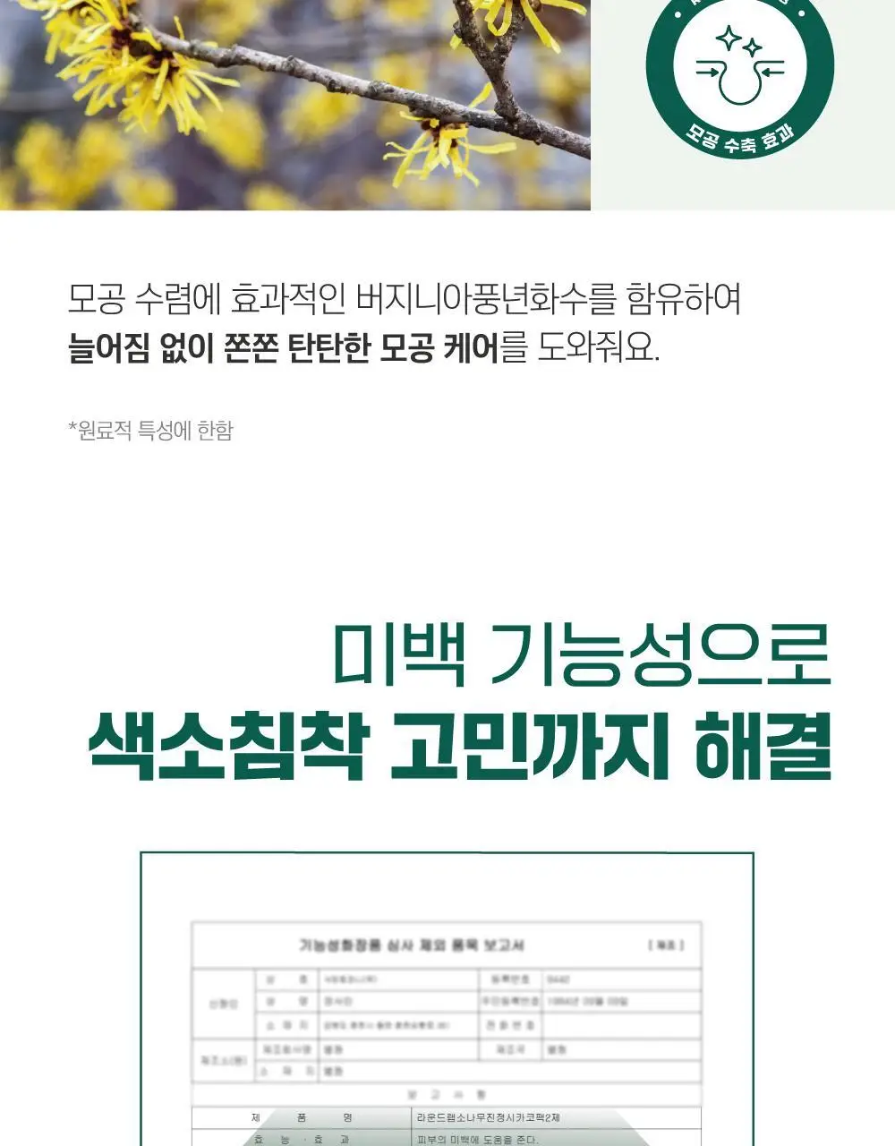 [블랙헤드/피지모공] 라운드랩 소나무 진정 시카 바이오셀룰로오스 코팩 5매 상세페이지 20
